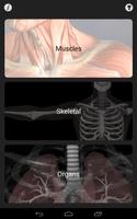 Anatomy Quiz Pro Cartaz