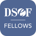 DSEF Fellows