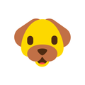 Dogname - find it together