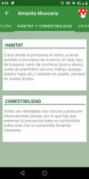 Info Setas تصوير الشاشة 3