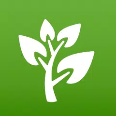 Medicinal Plants & Remedies Icon