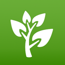 Plantas Medicinales y Remedios APK