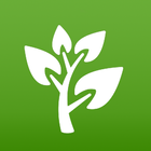 Plantas Medicinales y Remedios ícone