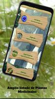 Plantas Medicinales y Remedios imagem de tela 1
