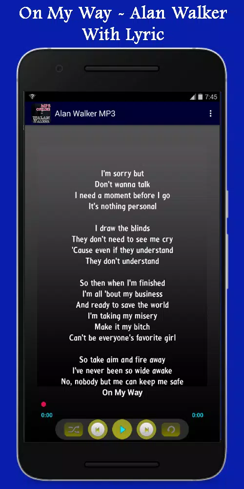 Alan Walker 19 Offline Lyric For Android Apk Download