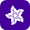 MyDST APK