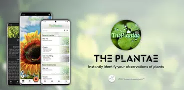 The Plantae: Identify plant