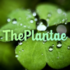 The Plantae-icoon