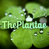 The Plantae ikon