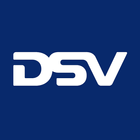 DSV Driver icône