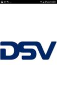 DSV Driver capture d'écran 1