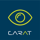 CARATview VR icon