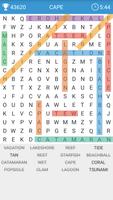 Word Search Affiche