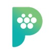 Plugspot icon