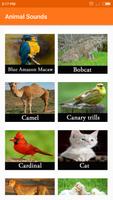 Animal sounds ảnh chụp màn hình 1