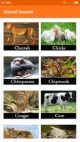 Animal sounds ảnh chụp màn hình 2