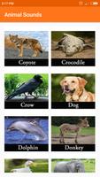 Animal sounds ảnh chụp màn hình 3