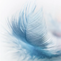 Guided Meditations and Relaxation Meditations