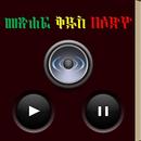 Amharic Audio Bible APK