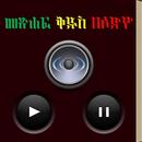 Amharic Audio Bible-APK