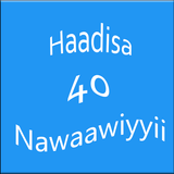Arbaiina آئیکن