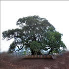 Learn Tambarsa أيقونة