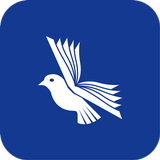 APK Etimolog