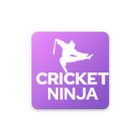 Cricket Ninja icono