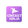 Cricket Ninja : Fastest Cricke APK