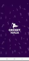Cricket Ninja Poster