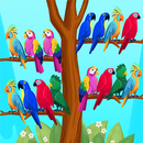Tri d'oiseaux: Puzzle couleur APK