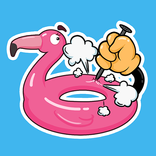 PlaceIt: Games don't need wifi