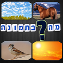 מה בתמונה APK