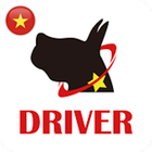 ikon Edriver VN