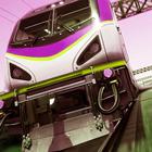 Euro Train Driving 아이콘