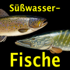 Europäische Süßwasserfische APK