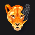 POLYGON : Coloring-Book∙ Poly Art by Numbers
