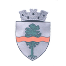 Pucioasa APK