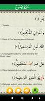 Surat Yasin imagem de tela 3