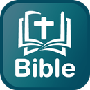 Bible Roman Hindi (Pavitra Baaibil) APK