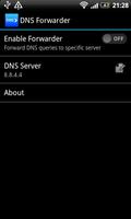 DNS forwarder पोस्टर