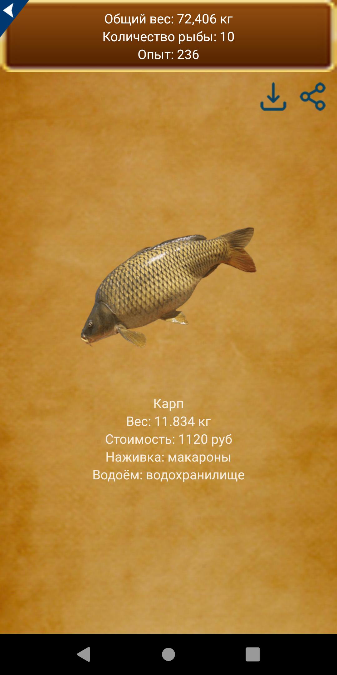 голый карп русская рыбалка фото 109