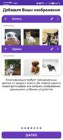 Pocket AutoML скриншот 1