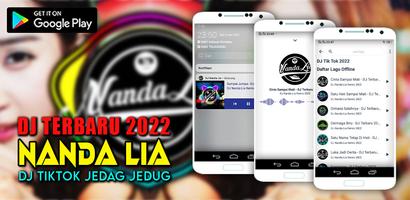 DJ Nanda Lia Remix Affiche