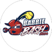 Barrie Storm Barrie Bash icon