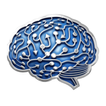World Brain Mapping