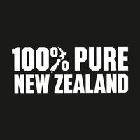 NZ Incentive Training پوسٹر