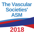 VSASM2018 simgesi