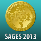 SAGES 2013 Annual Meeting Zeichen