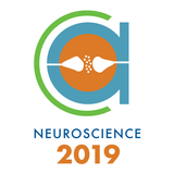 Neuroscience 2019 icône